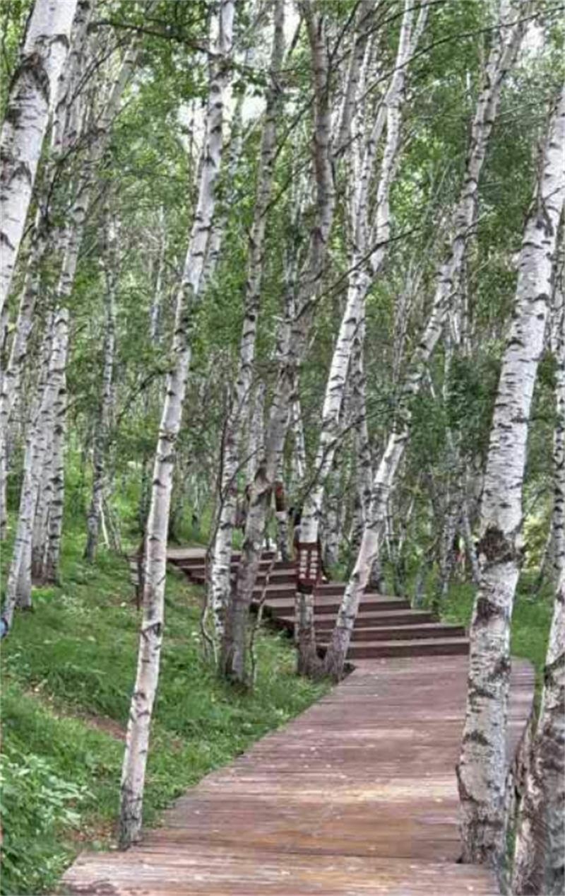 塞罕壩明珠七星湖 詩(shī)情畫(huà)意似仙境(圖12)