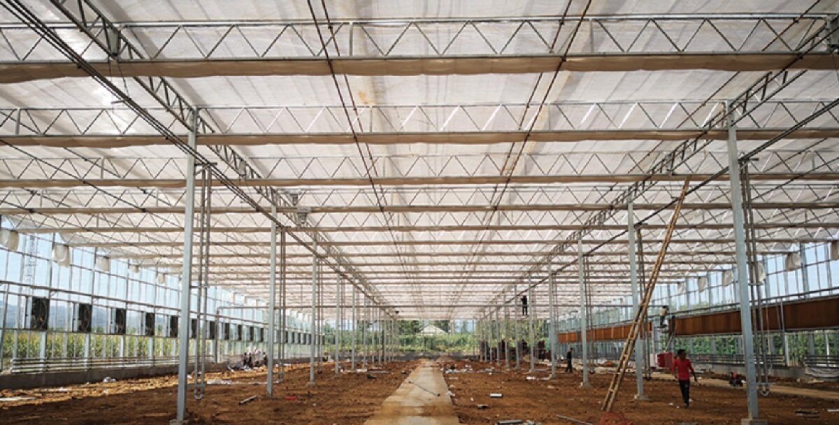 信橋鋼構(gòu)：打卡蒙陰農(nóng)業(yè)溫室大棚、青州黑牛養(yǎng)殖基地！(圖3)